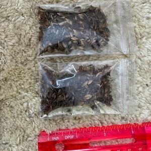 lavender samples (come in bundles of 5 max)